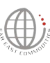 Logo Customer